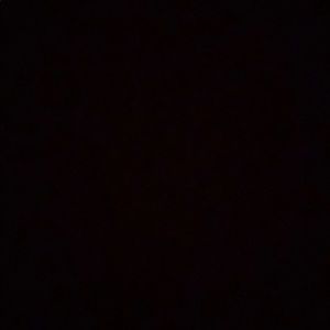 Meet your Posher, Zhane